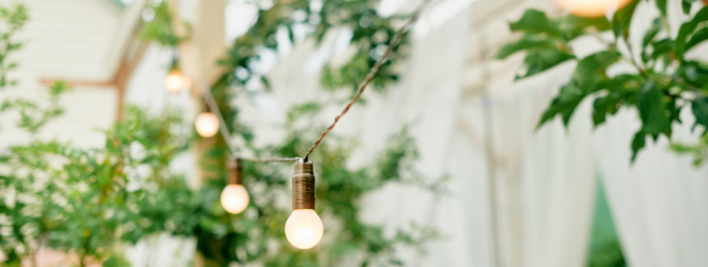 String of lights in greenhouse